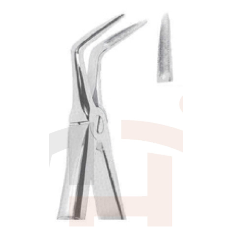 EXTRACTING FORCEPS